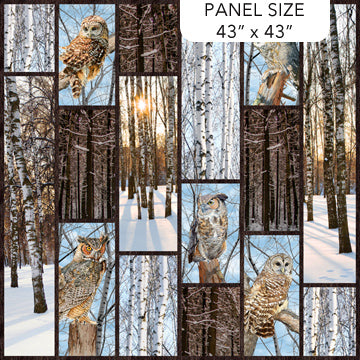 Naturescapes Solitude Owl Panel